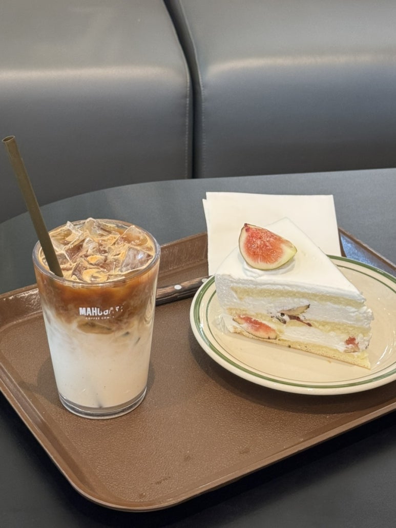 메타케이브 이미지