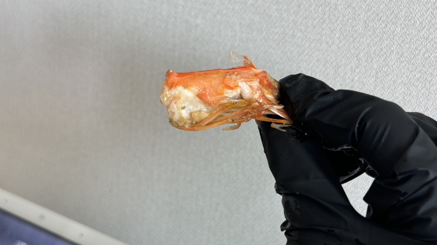 거북수산 이미지