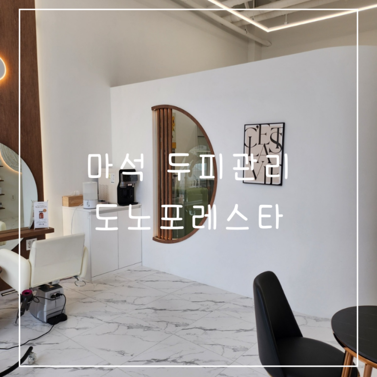도노포레스타 이미지
