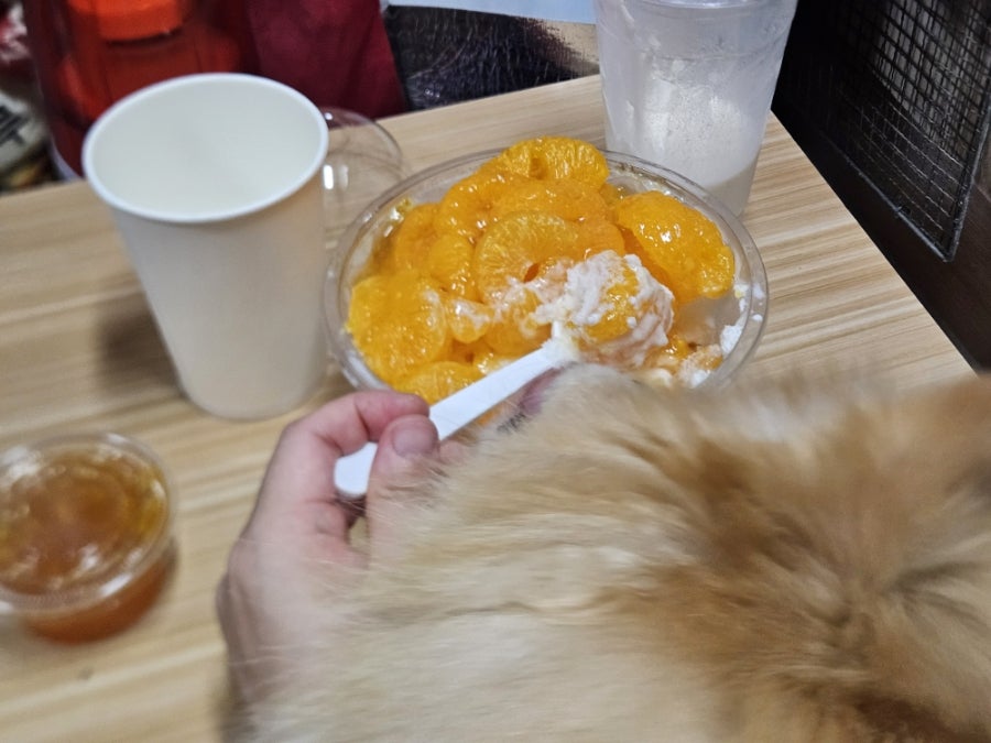 대구빙수경대점 이미지