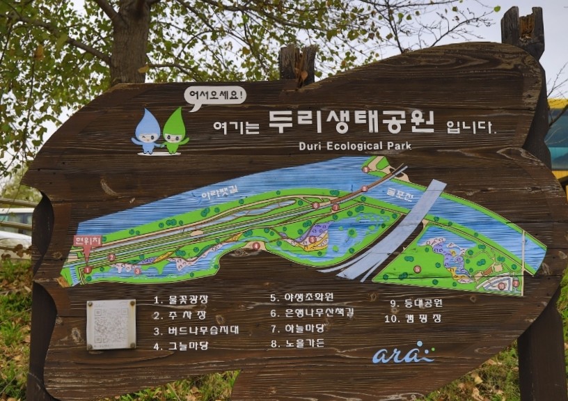 알지 아라 이미지