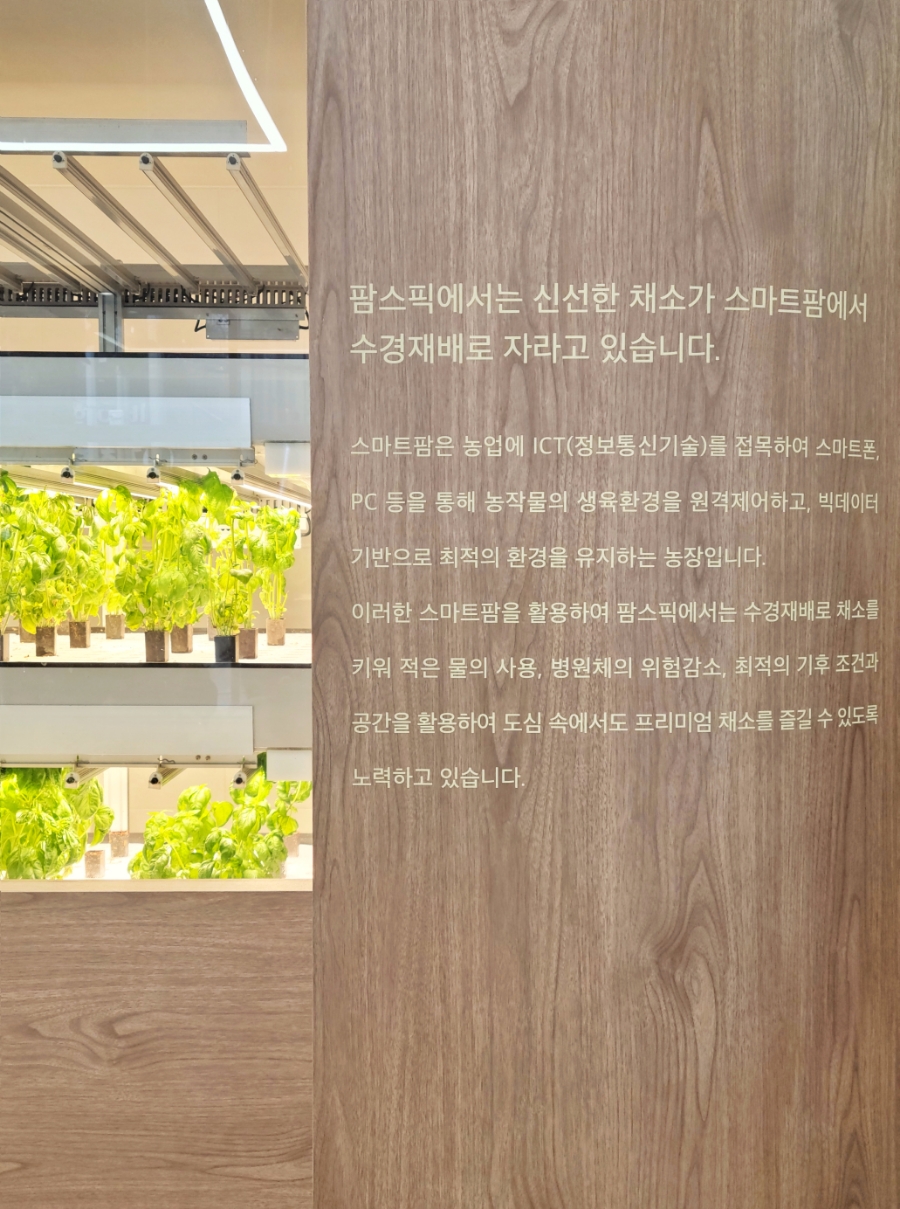팜스픽 이미지