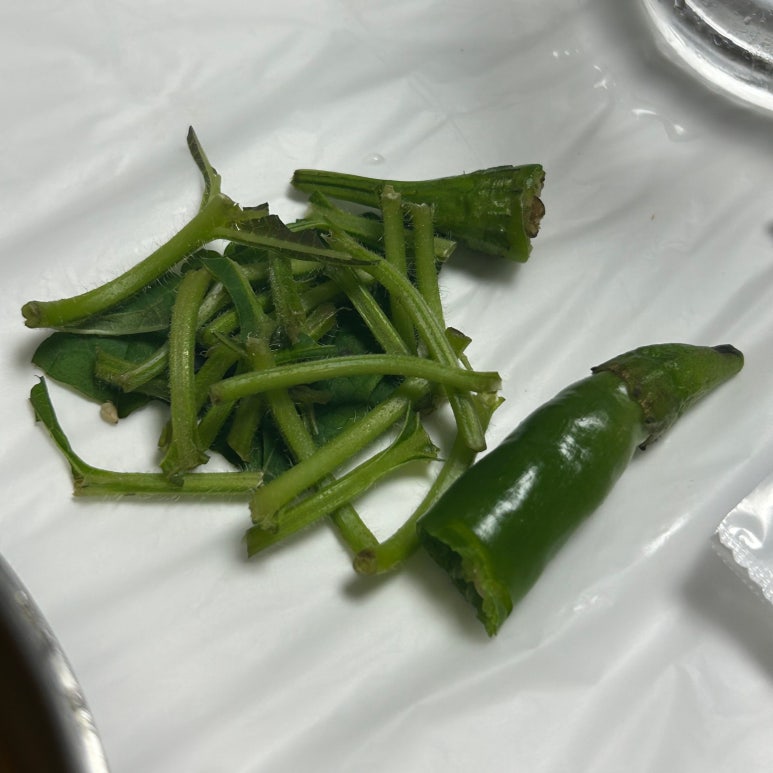 우리수산회센타 이미지