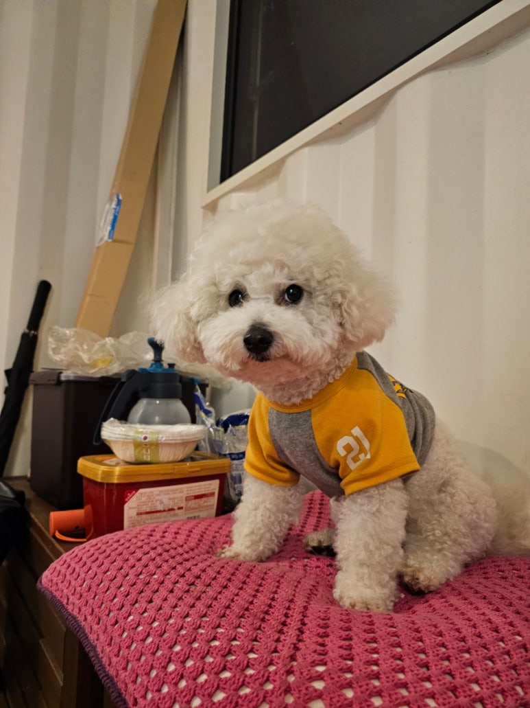 (주)대창식품 이미지