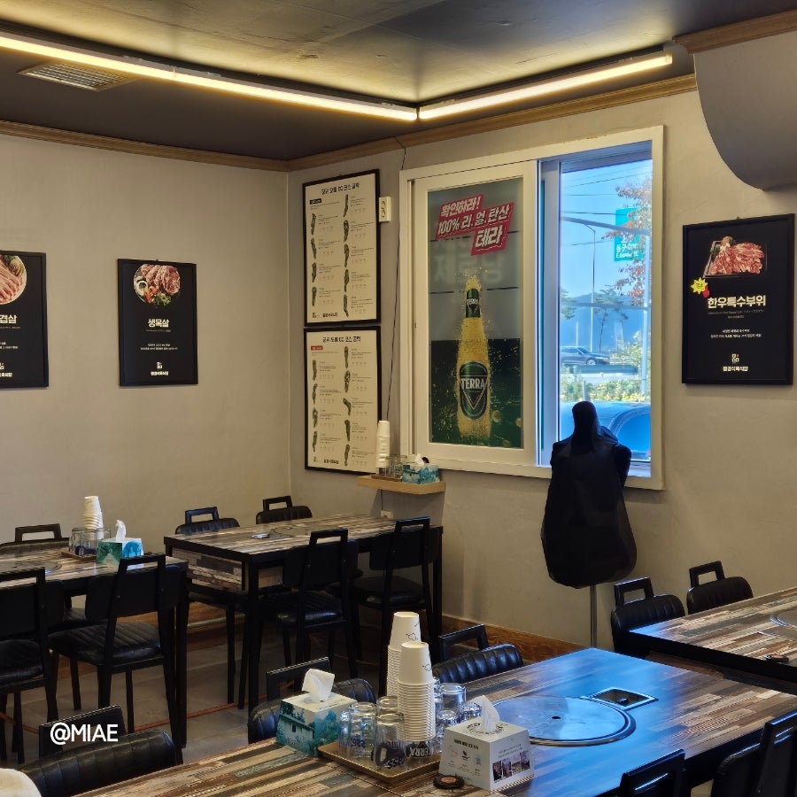 팔공로스트볼 이미지