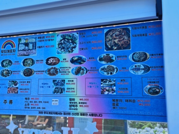 무지개포차 이미지