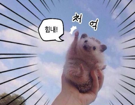도토 이미지