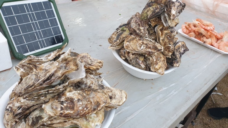 정초밥회수산 이미지