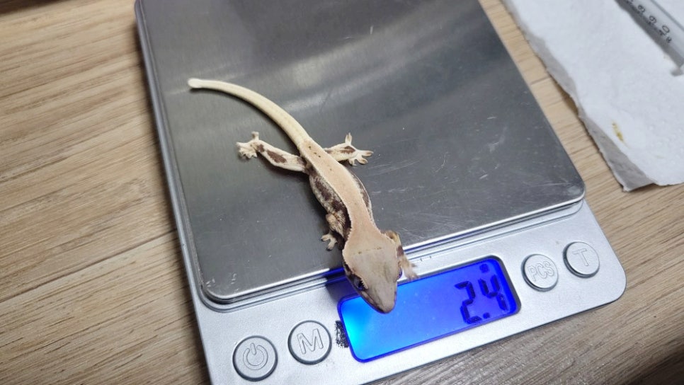 (주)크레푸드 이미지