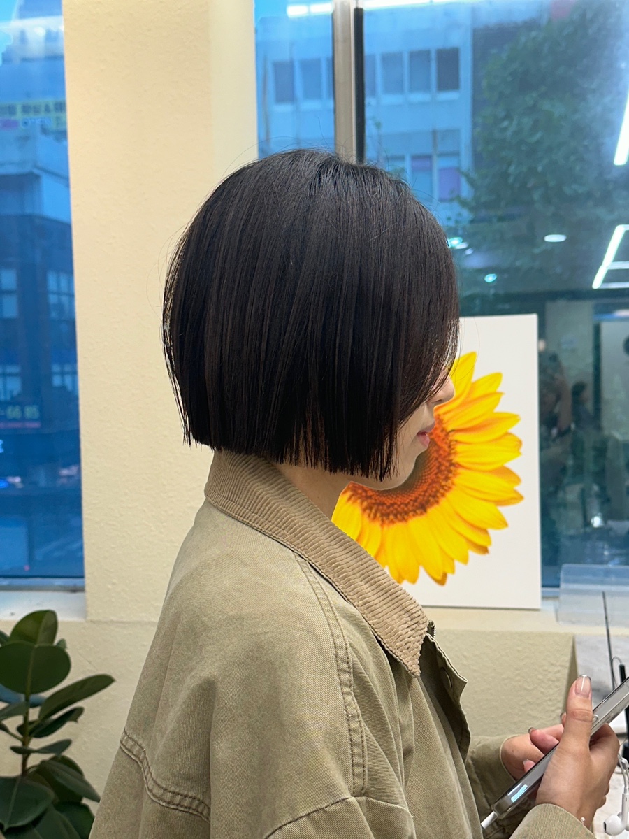 아브헤어 이미지