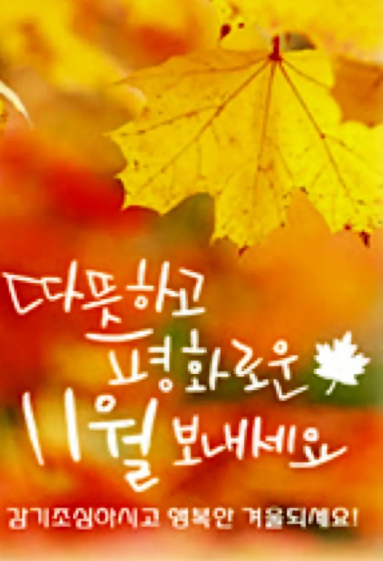이알글로벌 이미지