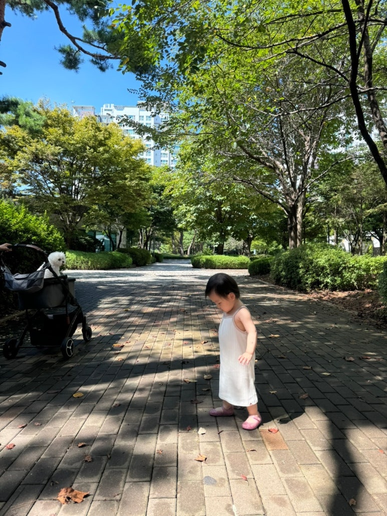 다올맘 이미지
