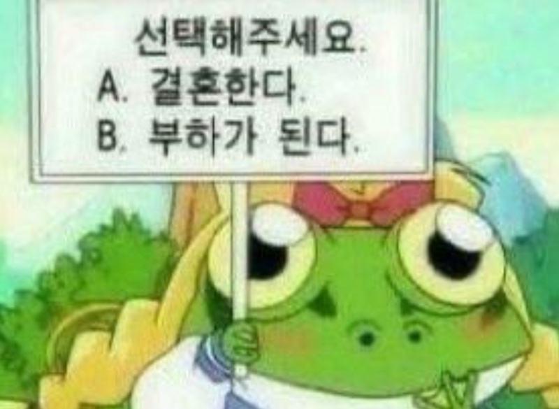 보드페어리 이미지
