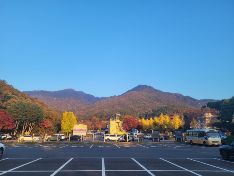 용문산 허니 이미지