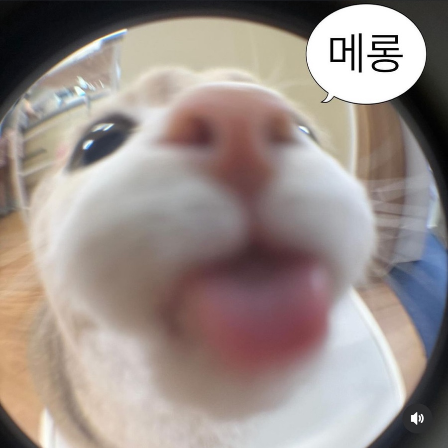몬스터스포츠 이미지