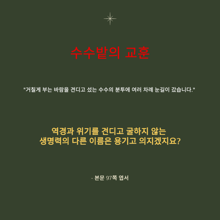 사는동안꽃처럼 이미지
