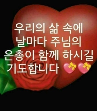 코코스 이미지