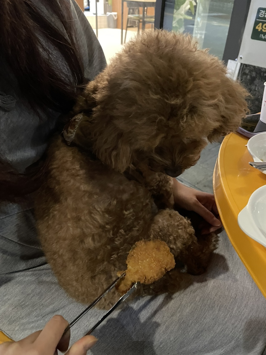 모가치킨 이미지