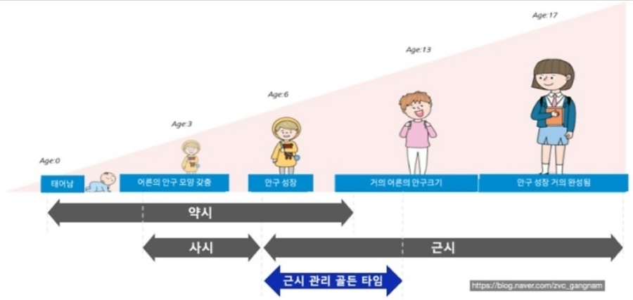 마이오 이미지