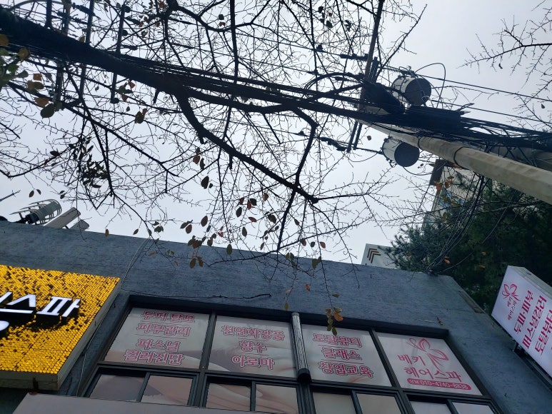 베키베키화장품 이미지