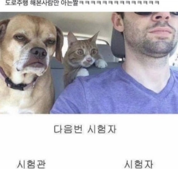파이브스타 이미지