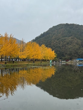 (주)행복은행나무 이미지