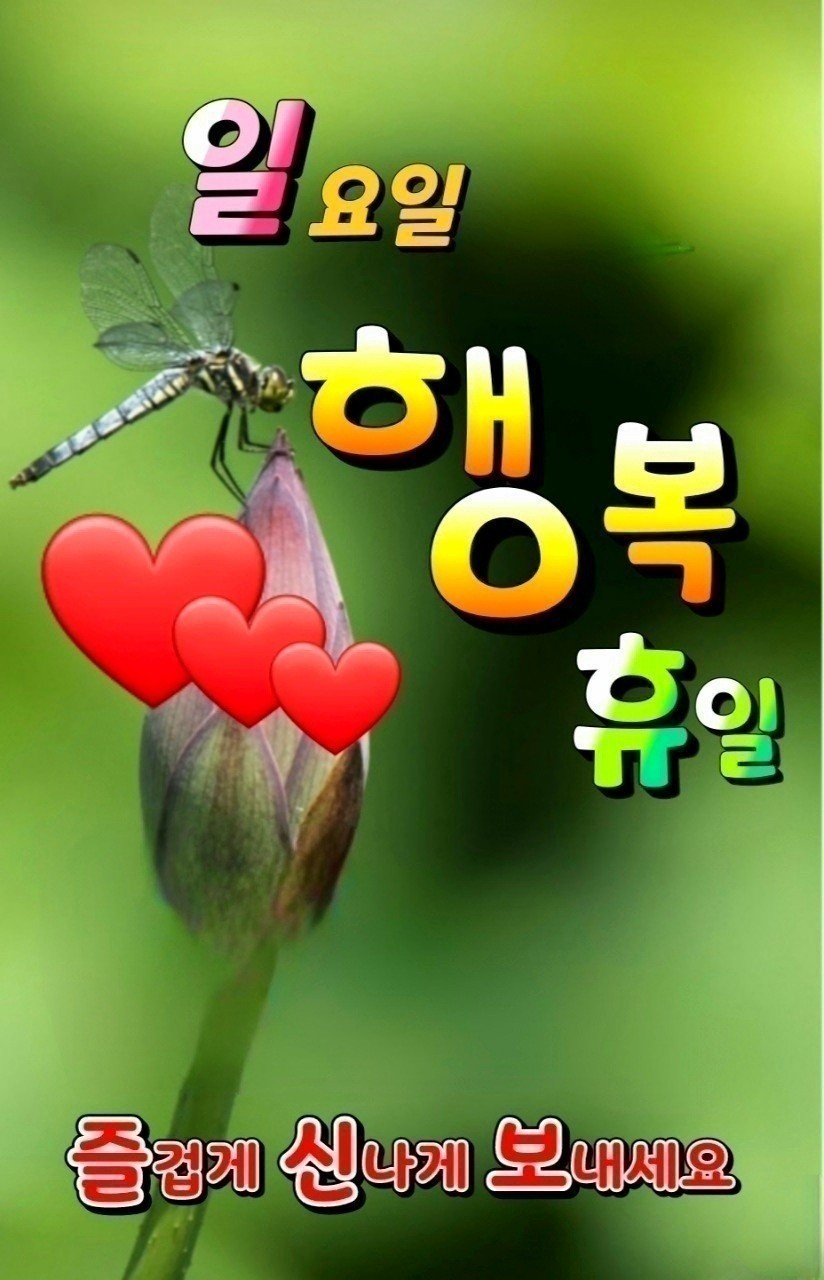 에이스환경 이미지