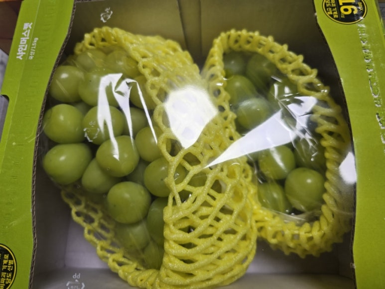 임*경 이미지