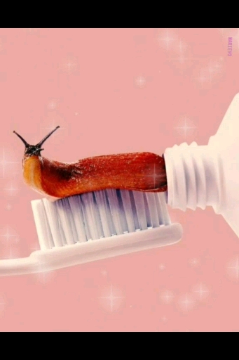 크린존 이미지