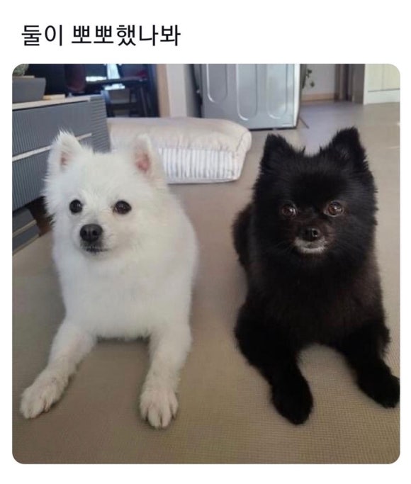 주먹이 이미지