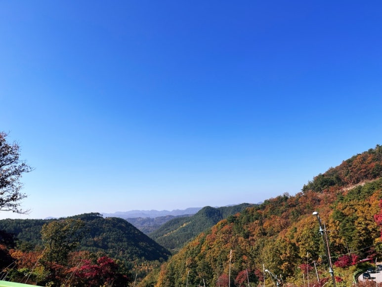 속리산365캠핑장 이미지