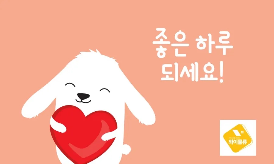커넥트와이 이미지