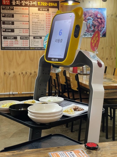 돌산아나고 이미지