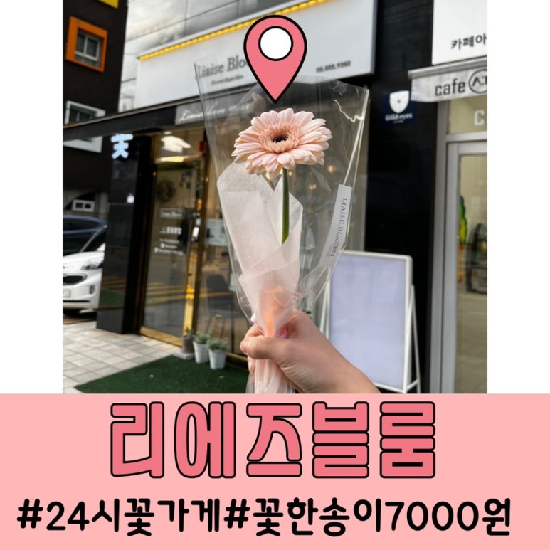 리에즈블룸 이미지