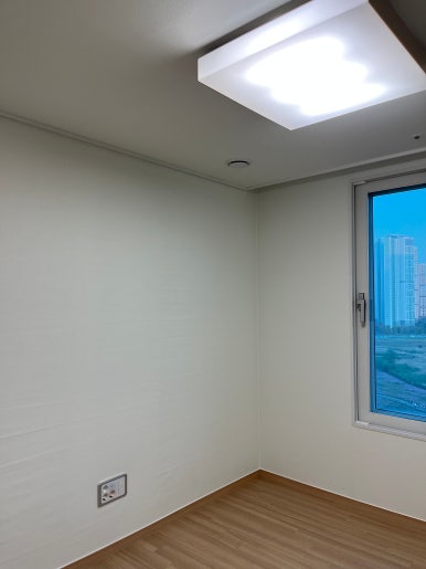 상상개나리 이미지