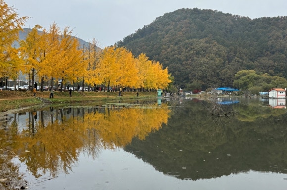 (주)행복은행나무 이미지
