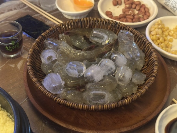 징어야징어야 이미지