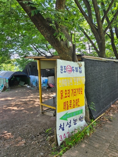 칠성농원손두부2호점 이미지