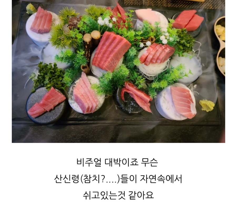 시나브로참치 이미지
