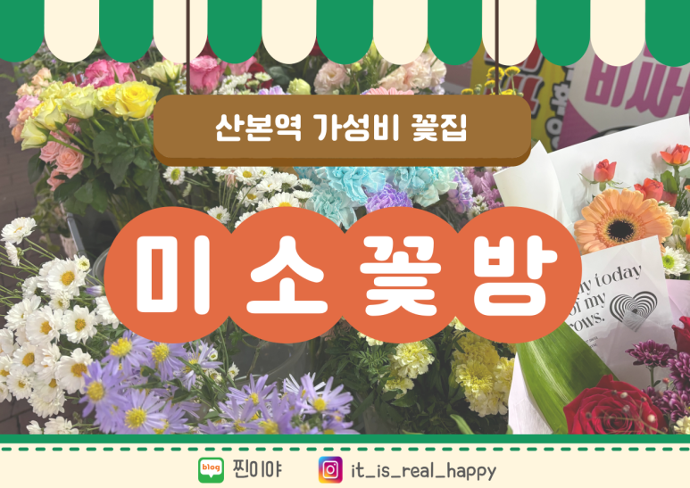 미소꽃방 이미지