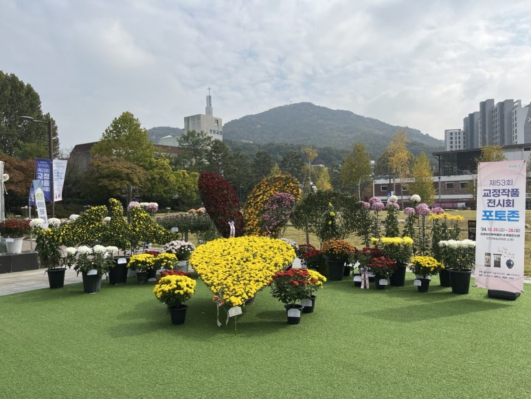 새삶 이미지