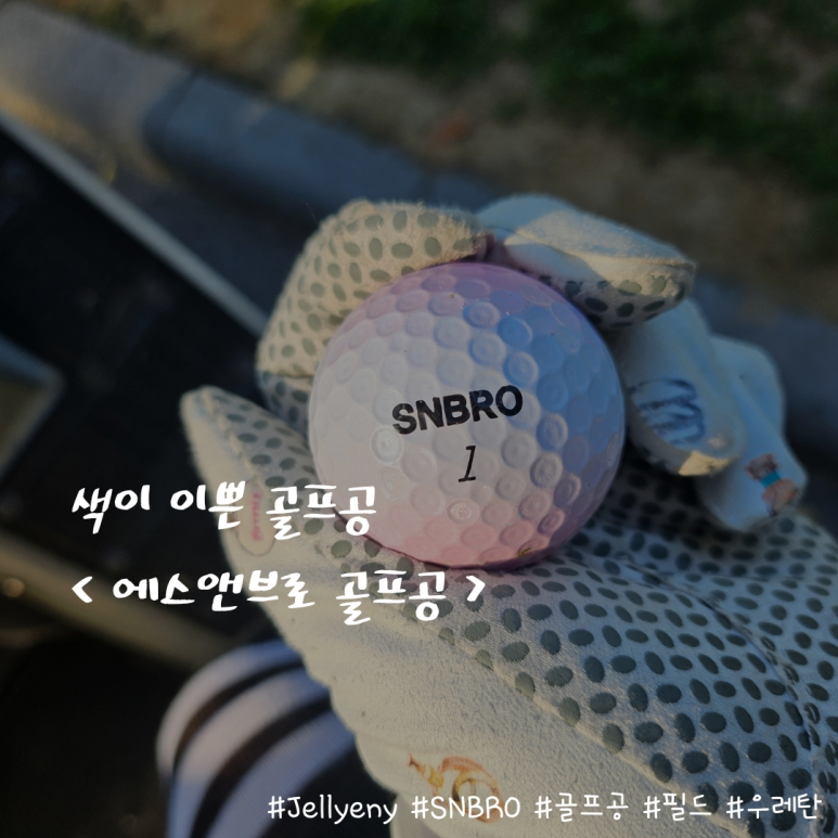 에스엔안 이미지
