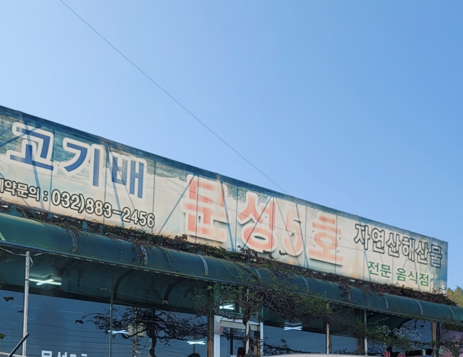 문성5호 이미지