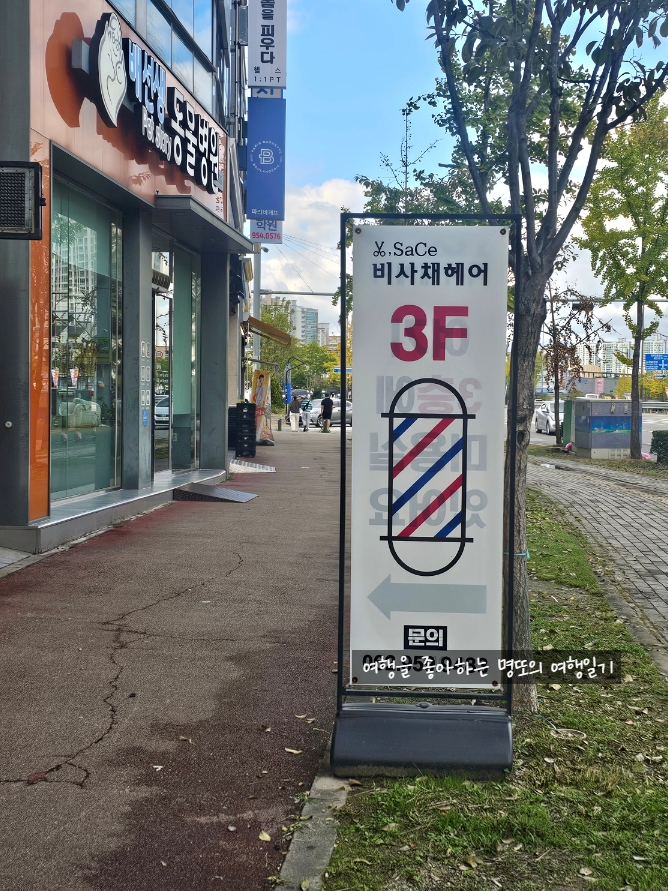 비사채 이미지