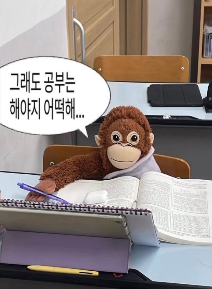 황고집 이미지
