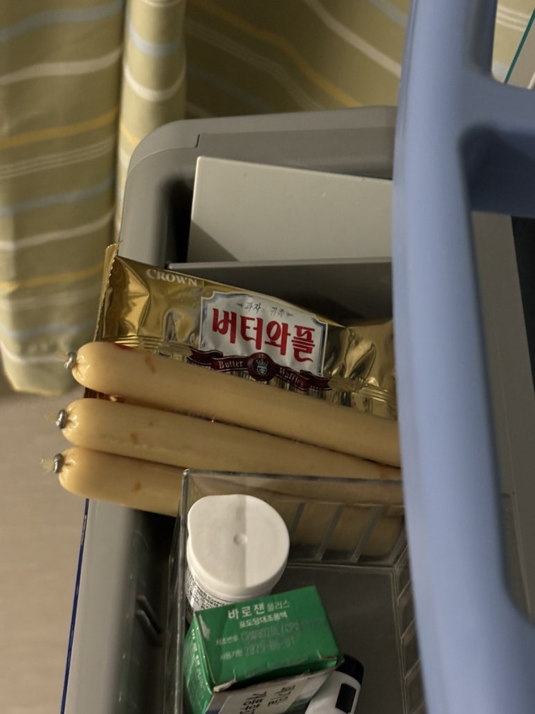 스네글비어 사진 7