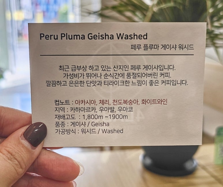 (주) 시드컴퍼니 이미지