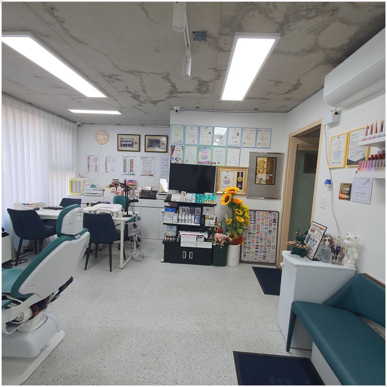 욜로종합관리 이미지