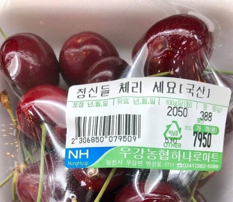 88전자 이미지