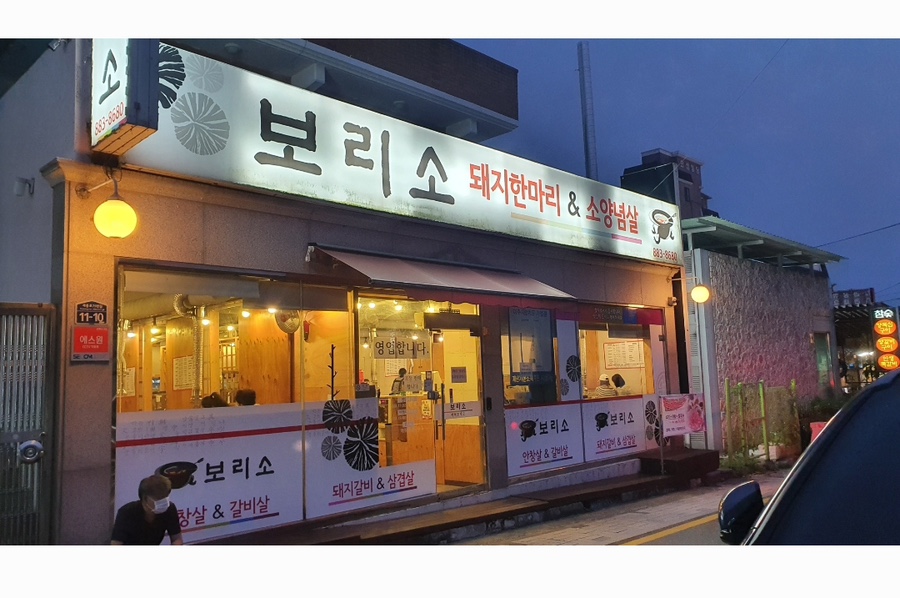 보리소 이미지
